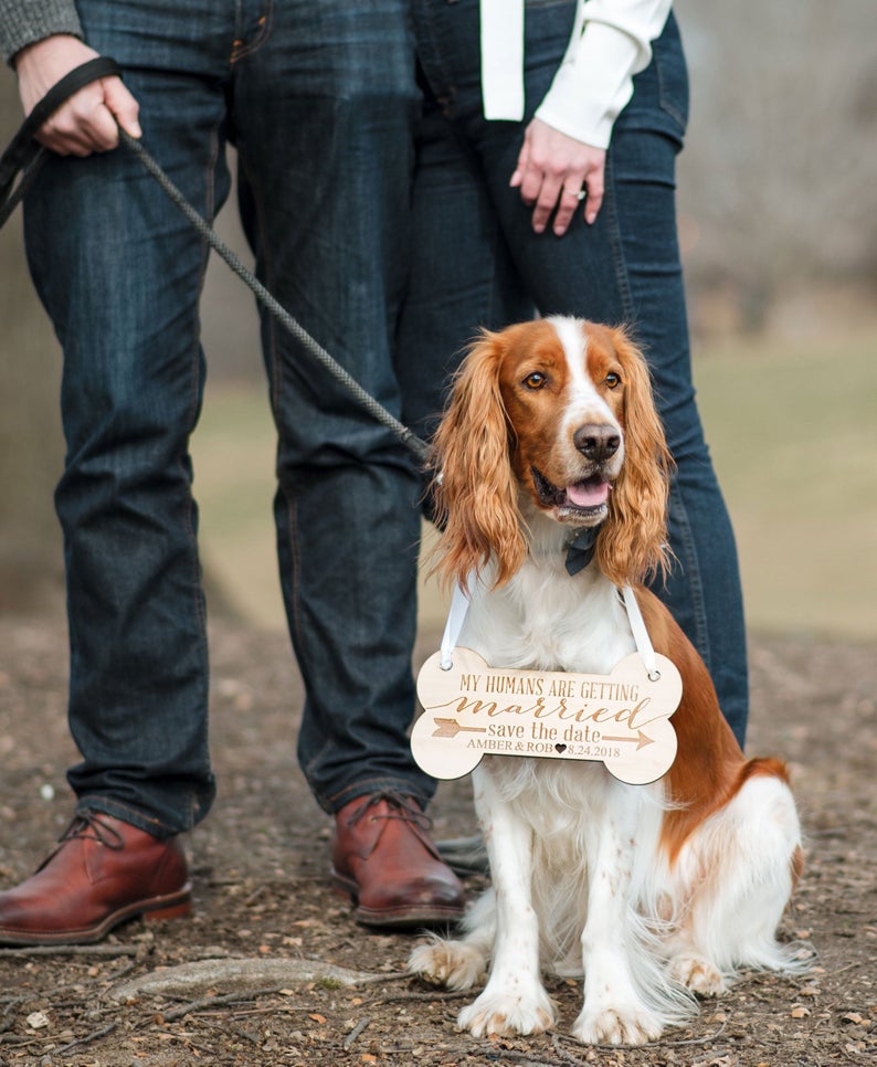 Panneau personnalisé pour animaux de compagnie - RÉSERVEZ LA DATE !